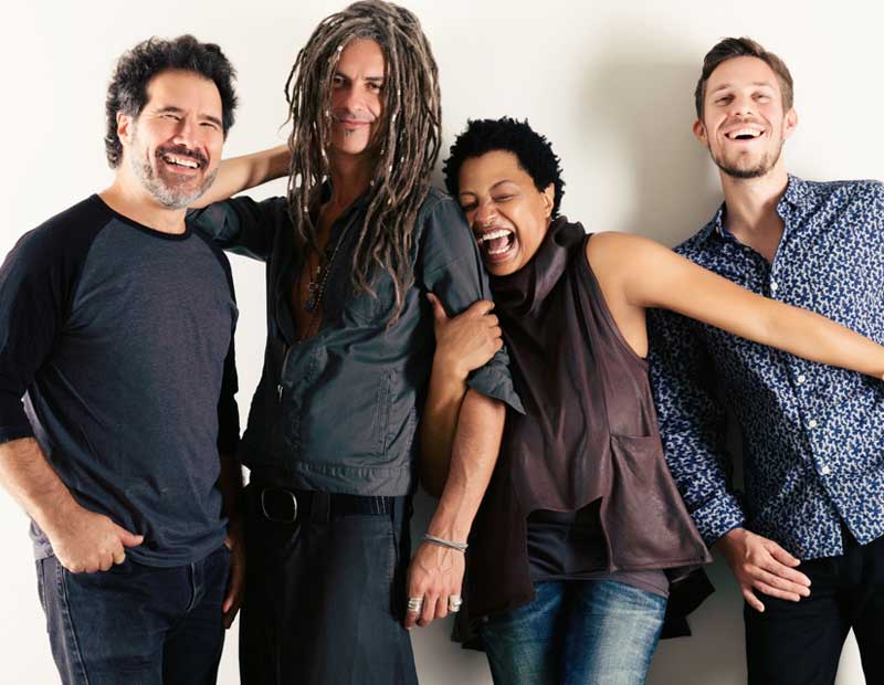 Lisa Fischer 1